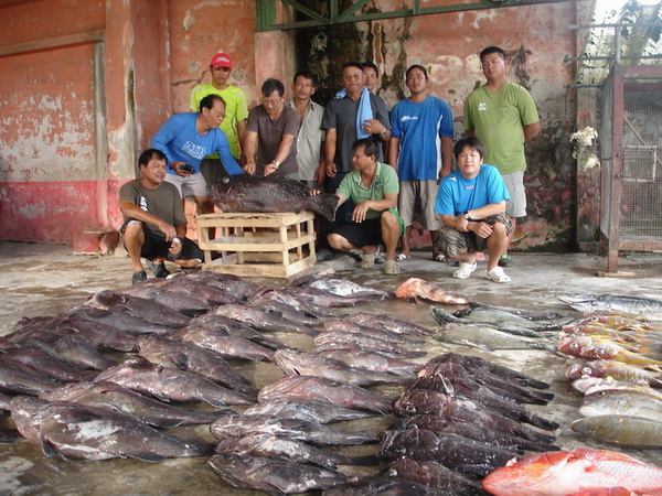 ไฟฟ้า  vs manual ชวนทะเลาะ เก๋าถ่าน ocean1