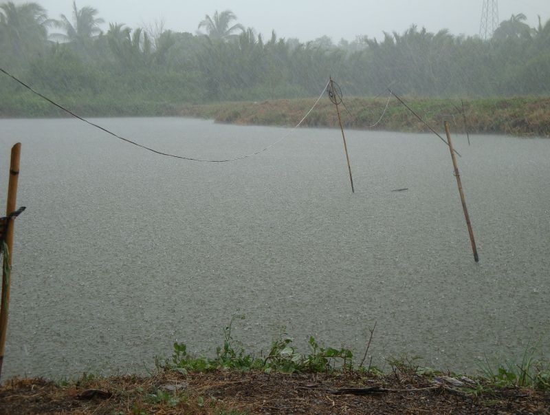 ฝนมาแล้วจบกันตกหนักสะดว้ย :frown: :frown: :frown: