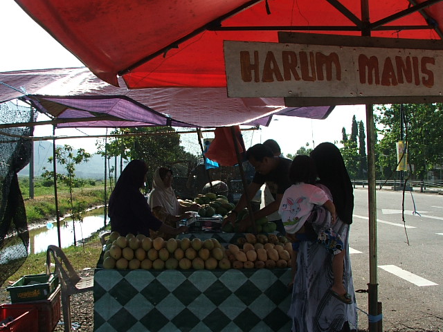 มะม่วงดังของมาเลเซีย เเปลเป็นไทยชื่อมะม่วงหอมหวาน