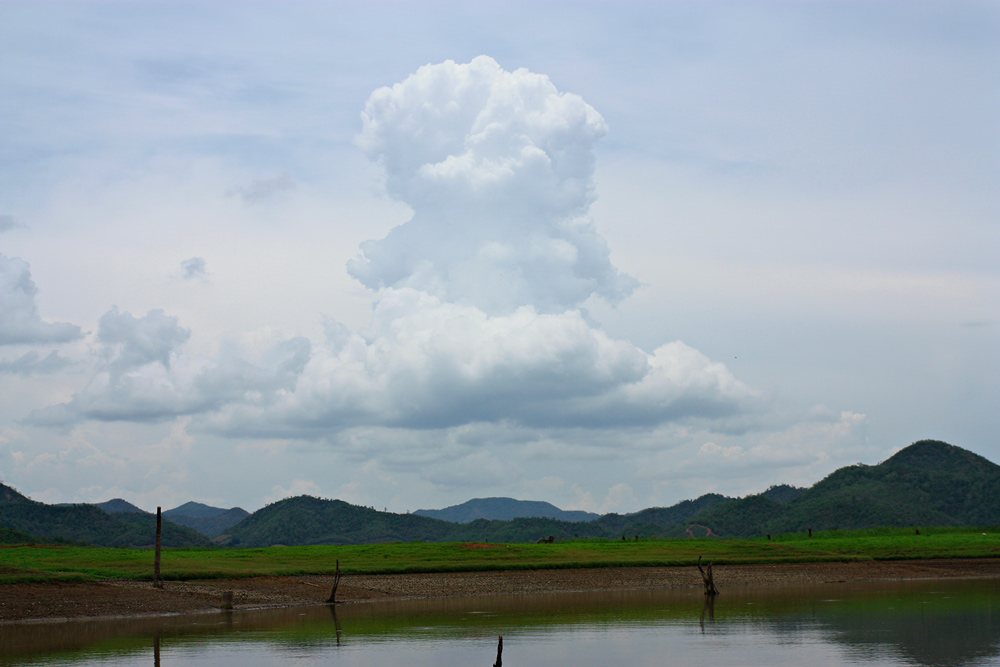  [b]ธรรมชาติสรรสร้าง...หมีน้อย ลอยอยู่บนฟ้า[/b]