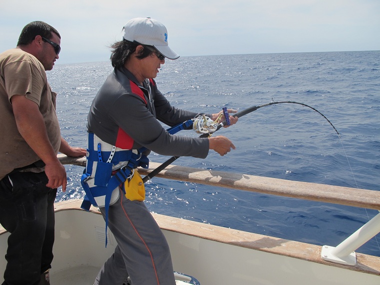 ลืมบอกไปอย่างคับ 

 Yellow Fin Tuna    ไซด์    200lbs+   เขาจะเรียกว่า Cow

 Yellow Fin Tuna    