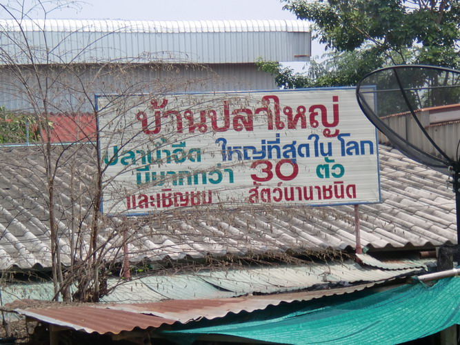 สถานที่คับถ้าใครฝ่านไปแวะชมกันได้คับ :grin: