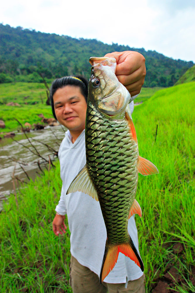  [b]ตัวนี้ให้ขึ้นปกเลยนะ..... ค่าตัวสองก