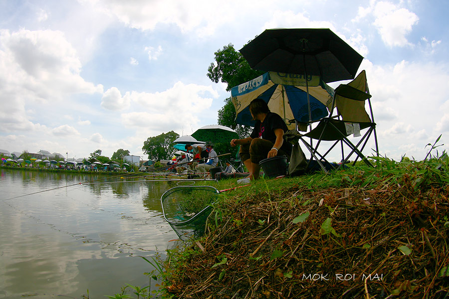 ช่วงบ่ายบ่อข้างนี้ขึ้นถี่กว่าใคร  :cool: