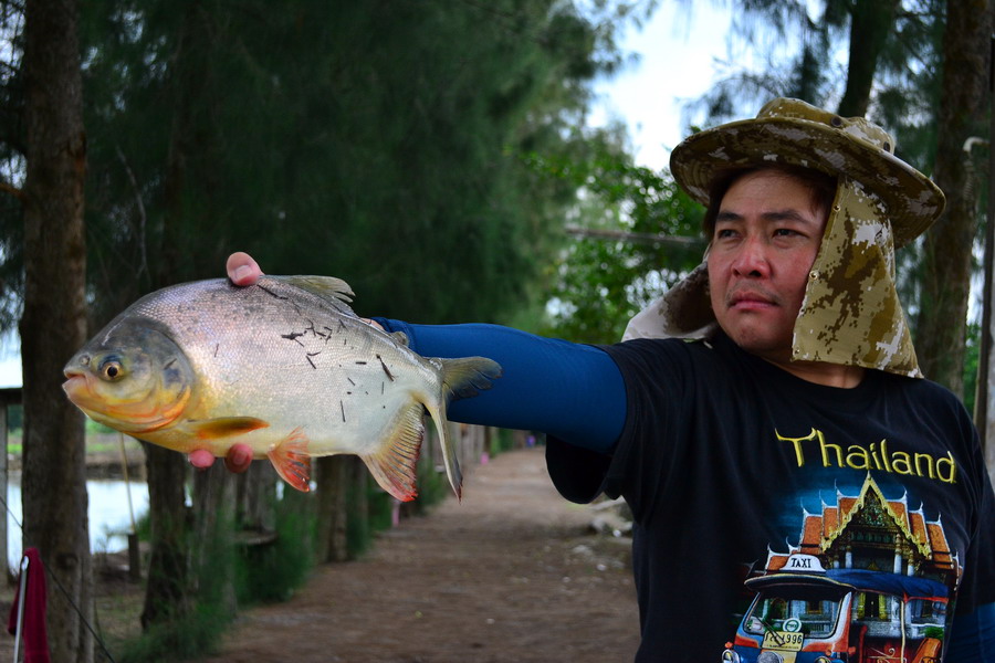 เปคูวัยรุ่นจอมซนตัวไม่ใหญ่