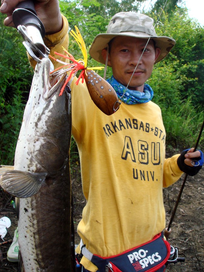 [q] ++++ครับ  [/q] 

สวัสดีครับน้า.. fishingjoke... ขอบคุณที่ตามชมนะครับ
[q] แจ่มๆๆๆๆๆอ้ายทิดโต  