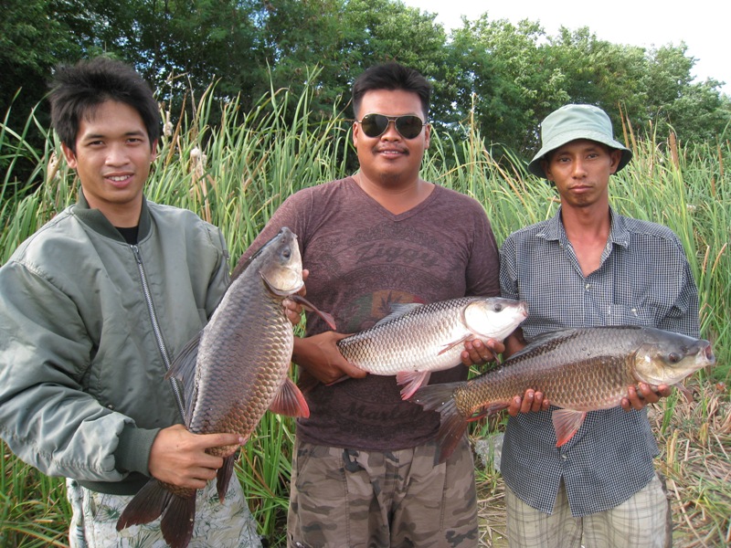 พี่ๆ ทีม ABU บ้านไร่ครับ วันนั้นเราติดเกาะอยู่ด้วยกันคับ  " ทีมผมว่าจัดเต็มแล้วนะ ทีมพี่เค้าจัดหนัก