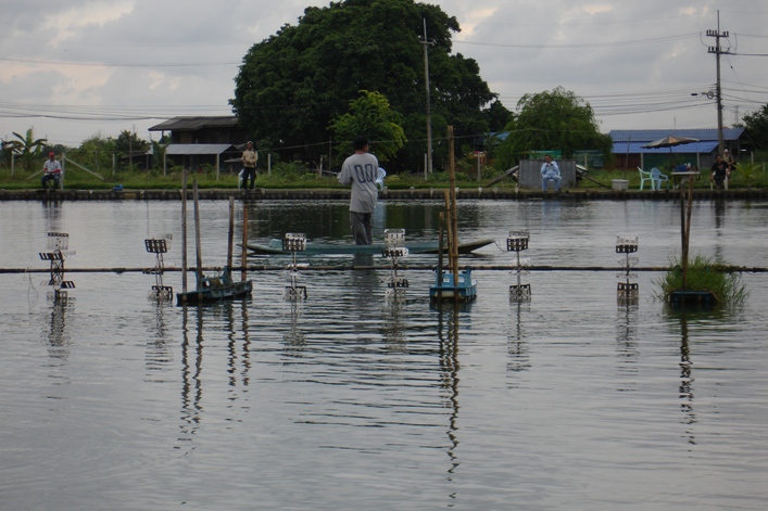 ผมนั่งพัก เห็นน้าท่านนี้ เอาคันเบ็ดของแก พ่ายเรือออกไป :ohh: