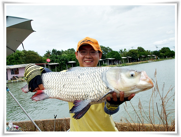 ลากันด้วยภาพนี้นะครับ   :grin:

ขอบคุณน้าๆ ทุกท่าน... ที่ได้โพสแสดงความเห็นนะครับ  :heart:  1 เสีย