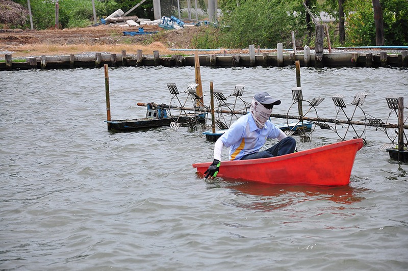 พายุเข้าลมแรงเรือเล็กควรงดออกจากฝั่ง :grin: