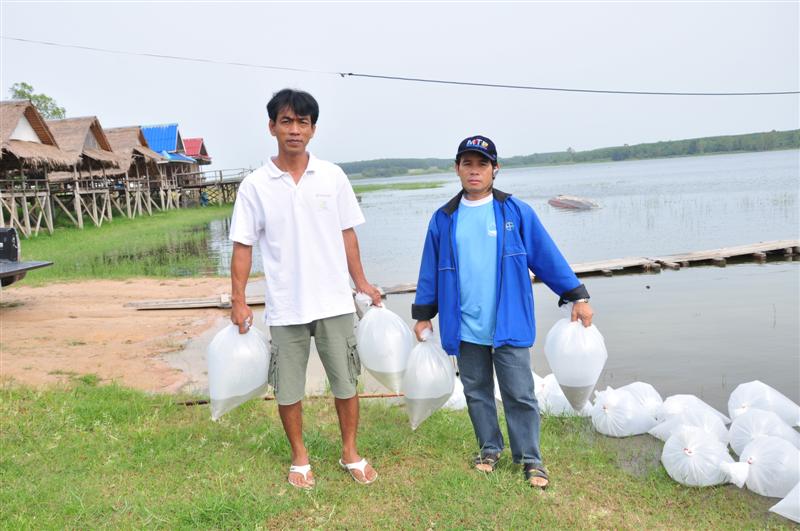 ต้องขอบคุณน้าหมูเป็นอย่างสูงครับ ที่ต้องขับรถมาจากพัทยาตั้งแต่เช้า เพื่อมาช่วยขนพันธ์ปลา  :cheer: :c