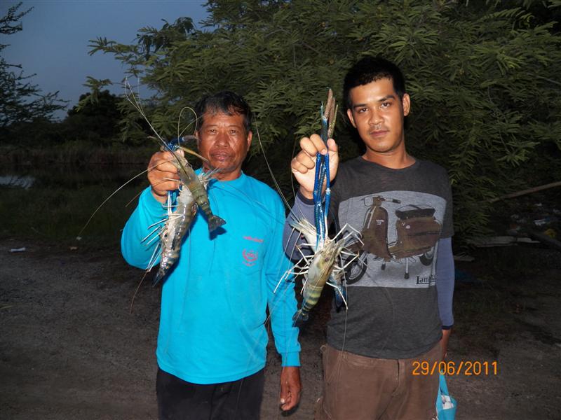 ขอบคุณไต๋โหนกด้วยนะคับ...