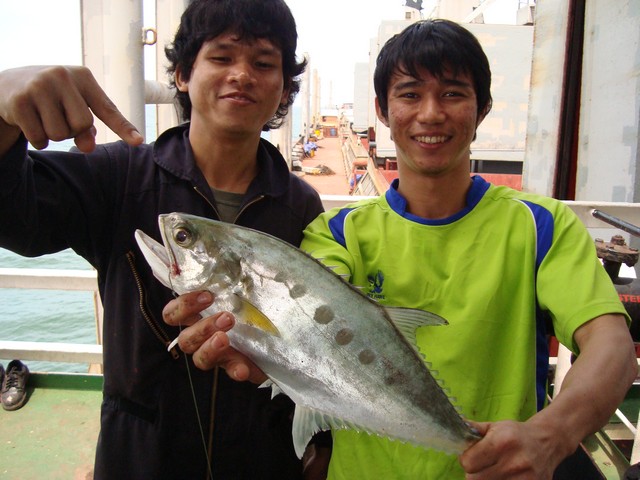 หลังจากนั้นเรือก็ออกเอาเหล็กไปส่งที่อินโดนิเซียครับ ที่นี่ได้ปลาแค่ตัวเดียวเองครับ หลงมา :grin: :gri