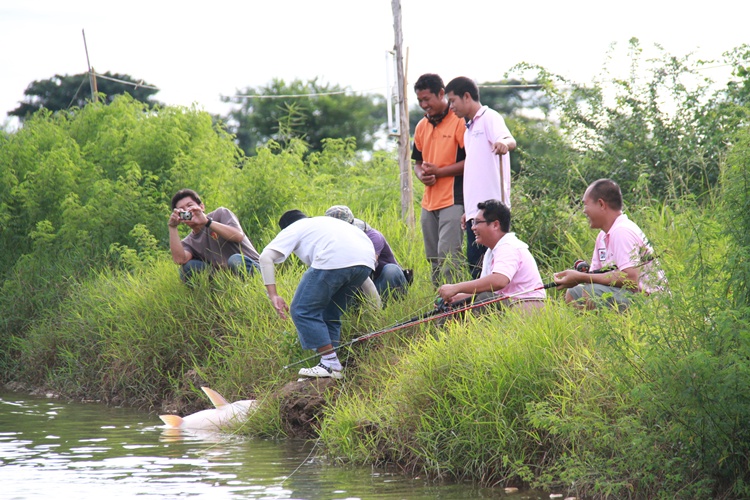 เป็นปายดาย