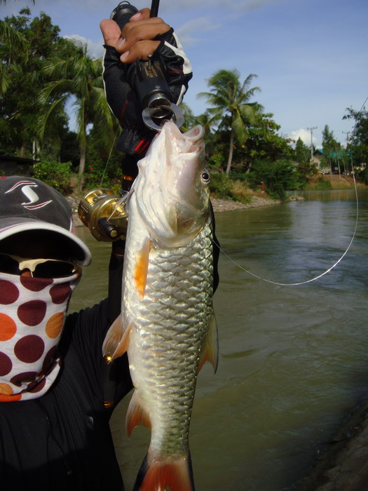 ตัวนี้ก็ไซส์สวย :cheer: :cheer: