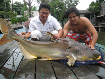 วิลลี่อีกแล้วโดยทีมงานFishingBoy