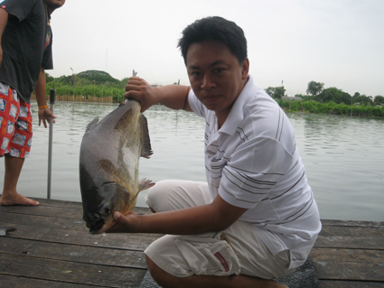 พี่กอล์ฟ ขอหล่อก่อนเลย(ปลายืม)  :laughing: :laughing: :laughing: