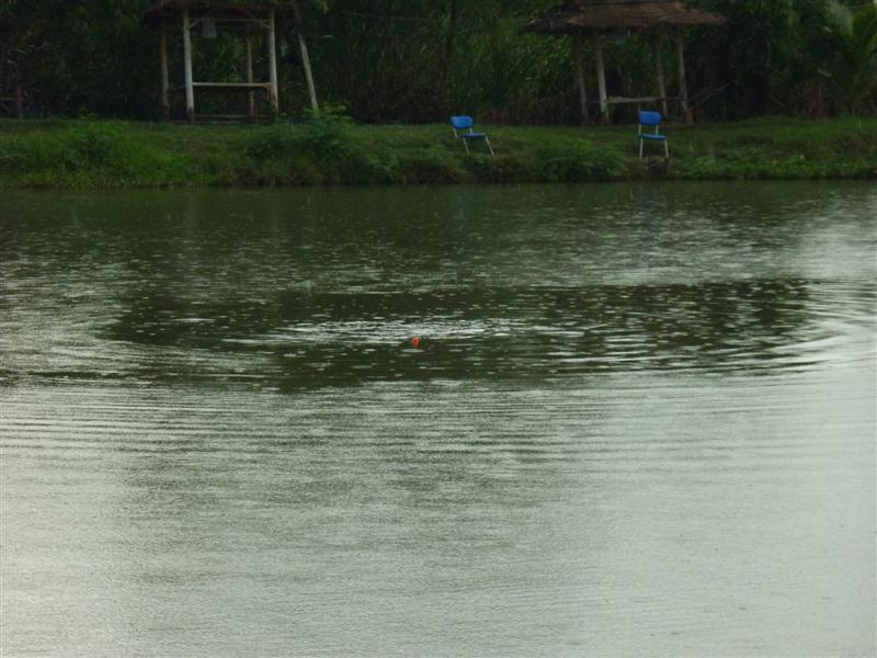 พลันมองไปเห็นฝูงปลาเล่นน้ำกันอยู่ตรงกลาง  เลยลองเปลี่ยนทุ่นลอยเล่นดูครับ  

                      