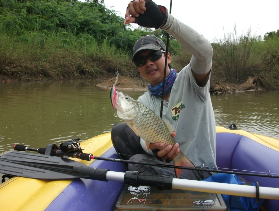 ถ่ายไปพายเรือให้พี่ไปเรื่อยๆเสียงดังตูมครับคว้าคันเกือบไม่ทันได้ตัวนี้ขึ้นมา ฟลุคครับตัวนี้พอดีเปลี่