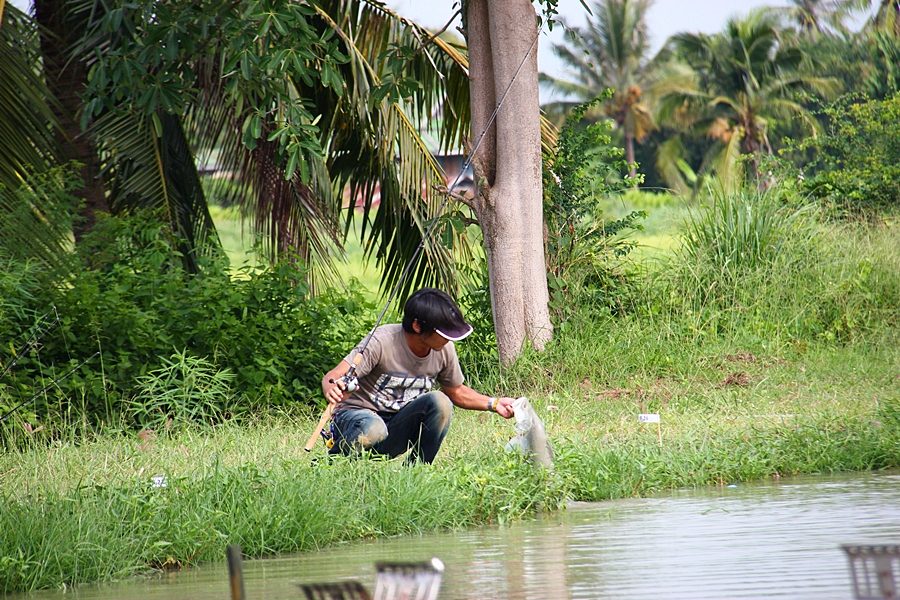 มันก็เหมือนปลาแบสบ้านข้าละวะ :laughing: :laughing: :laughing: