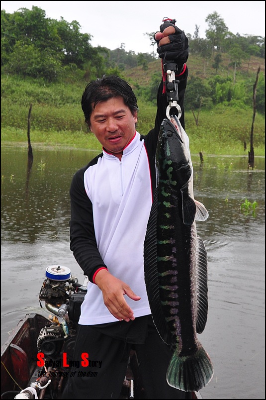 ส่วนสัดสมบูรณ์ทีเดียวสำหรับปลาตัว