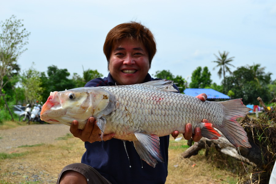 ขึ้นมาแล้ววววว สะใจมาก กระโห้รุ่นเล็กตัวแรก(ที่กัปตัน) ยิ้มหน้าบานเป็นจานดาวเทียม 5555555 เจ้ารถถังร