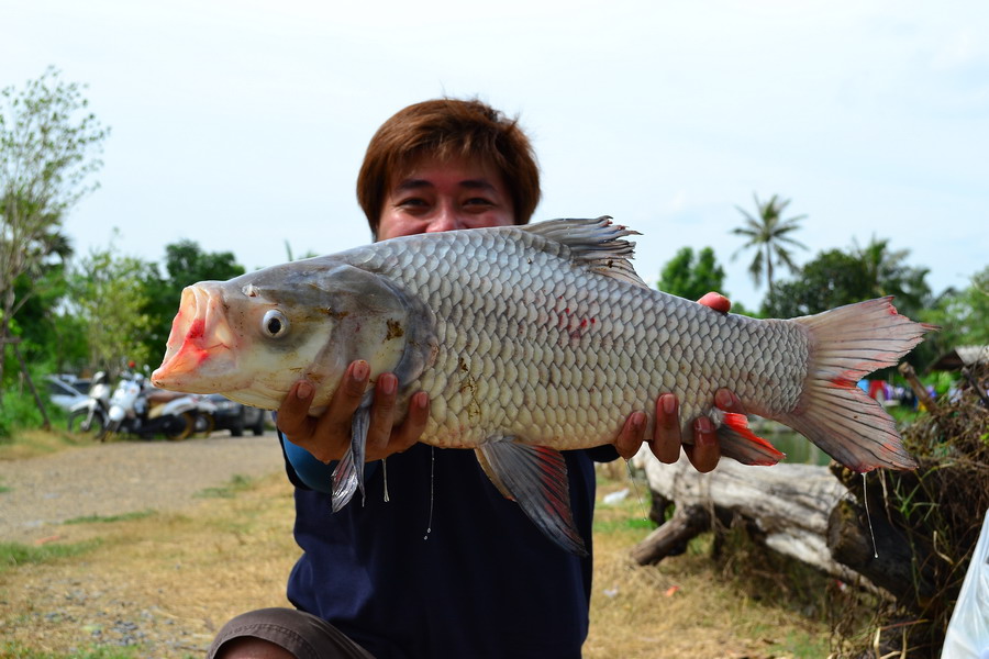 ต้องสองรูปเป็นอย่างน้อย  :smile: :grin: :laughing: :cool: :love: