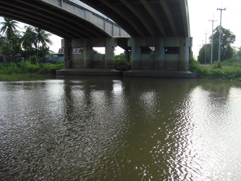 กระสูบสุพรรณ@tahjeen river