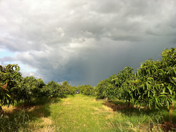 พอเข้ามาถึงสวน ฝนก้อจะตกอีก อารายเนี่ย ขอซักชั่วโมงก้อยังดีอย่าเพิ่งตกนะคร้าบบ สาธุ