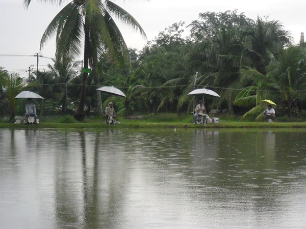 ดูน้าๆด้านหัวบ่อกันบ้าง ฝนยังลงเม็ดไม่หยุด