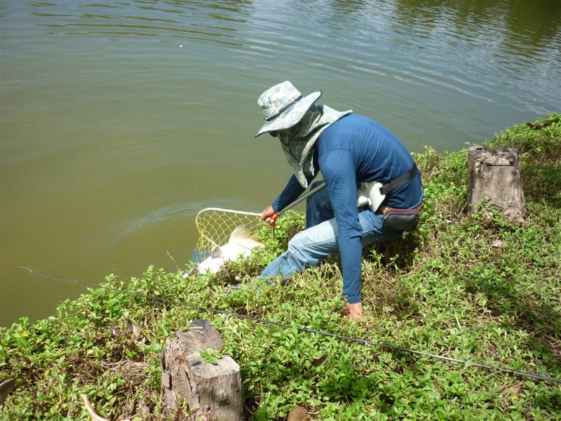 แขนสั่นเลย