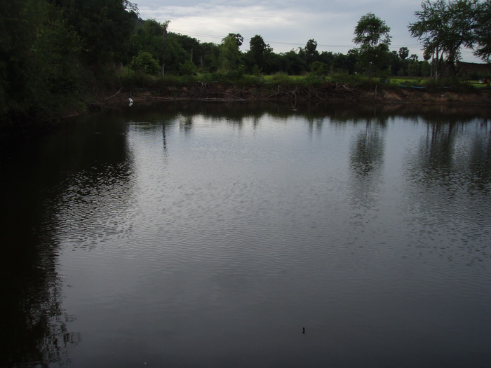 สระอีกมุมครับ  ขนาดประมาณ 2 ไร่  ปล่อยปลานิล  ตะเพียน  สวาย  ยี่สก  กราย ฯลฯ