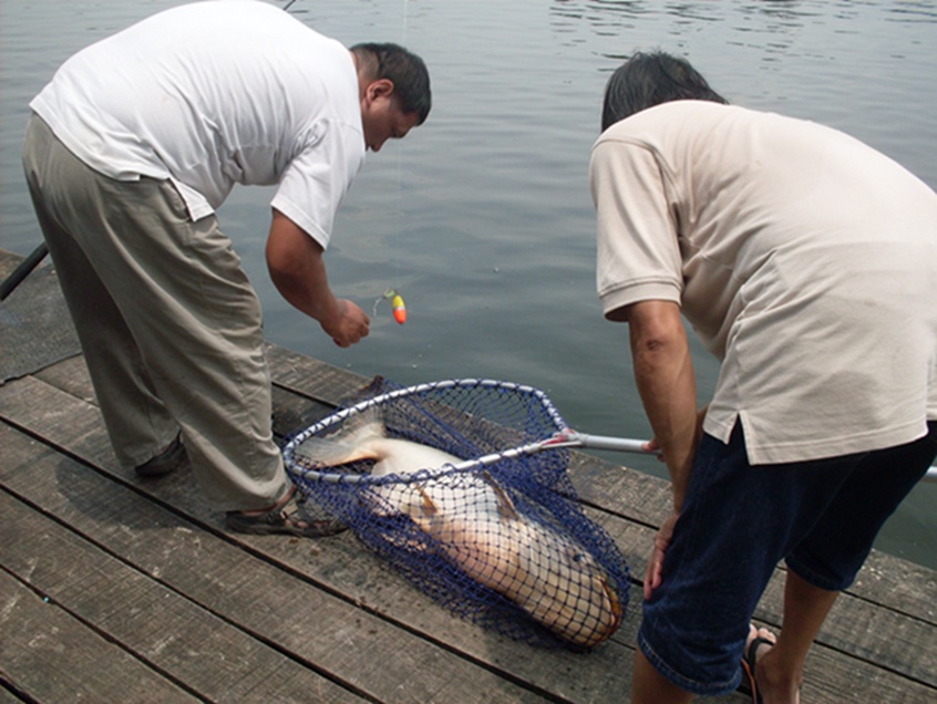 ตัวนี้ของพี่ช้างอีกแล้ว  ขึ้นนำแล้วพี่เรา :cool: :cool: :cool: