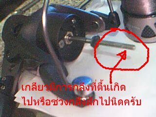 เช่นเดียวกันครับ ในแกนในของโรเตอร์