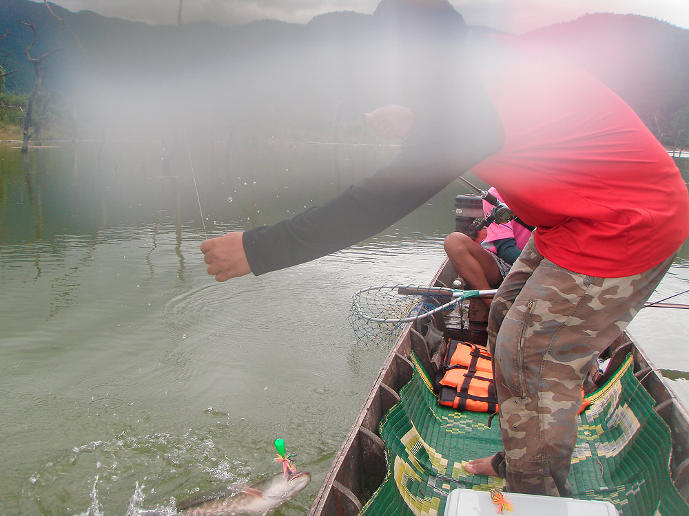 พอน้าหนุ่ม จะยกปลา  พี่ถ่ายภาพ มาได้ ภาพนี้  :sad: