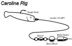  Carolina-rig เป็นการเกี่ยวหนอนยางอีกรูปแบบหนึ่ง จุดที่ต่างกันกับแบบ Taxas rig คือตำแหน่งตะกั่วจะอยู