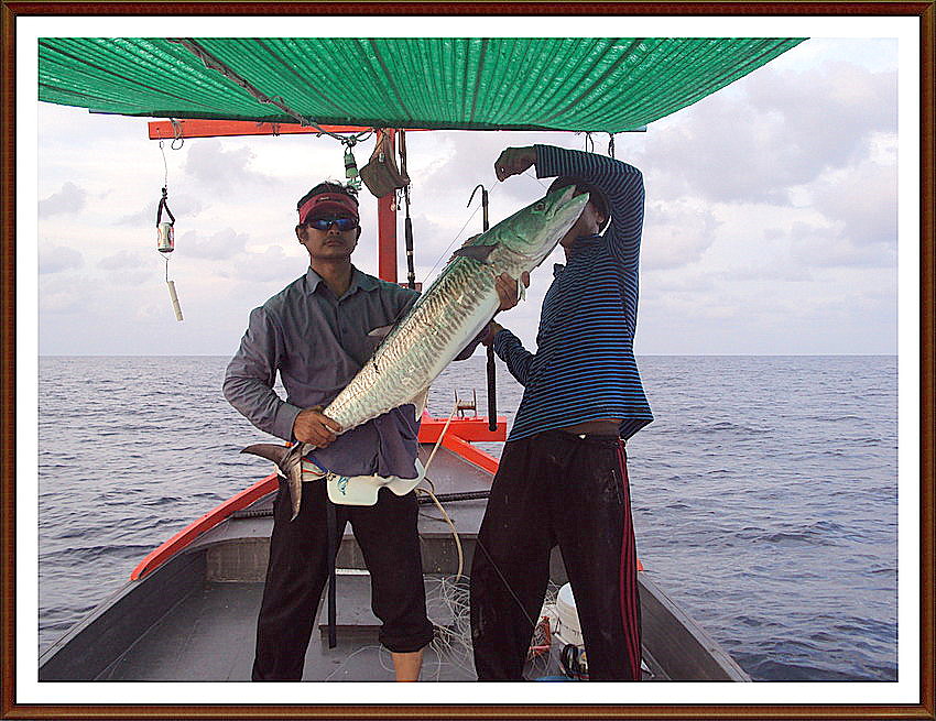 ปลายืม..........ปลาสายพันธุ์ไทยครับ
มันจะพบตอนเพื่อนตกปลาใหญ่ได้ครับ
