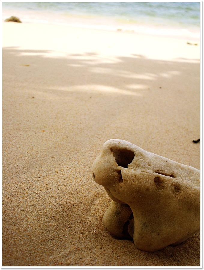  [b]"..คลื่น-ลม-เม็ดทราย รักกันเนินนาน"  ก่อเกิด เม็ดทราย..เนียนขาว นับล้านเม็ด..

และเม็ดทรายขา