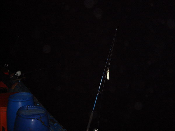 มืดแล้วที่ซั้ง ก็ไม่ได้ปลาเท่าไหร เพราะเป็นเดือนหงาย ปลากระจายหมด  แต่ !!!!  ตาหนวด สอยไอ้เขี้ยวมาหล