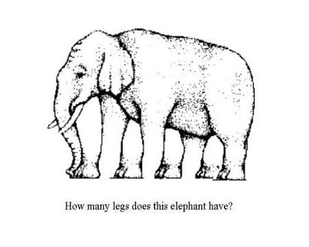 ช้างตัวนี้มีกี่ขา :grin: :grin: :grin: :grin: