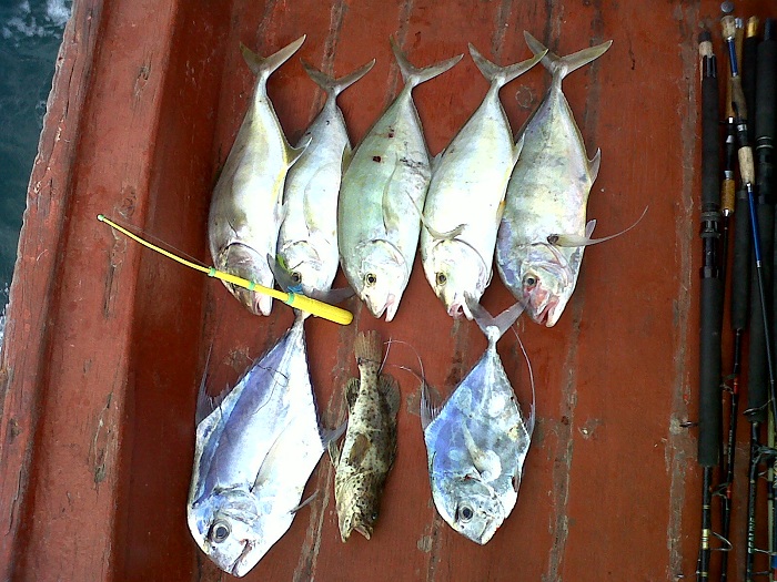 ปลา รวม ครับ    ได้  แชร์กำ 5  ตัว    โฉมงาม 2  ตัว   ชักฮื้อ 1 ตัว   เก๋า 1 ตัว  หมึก ได้  40  กว่า