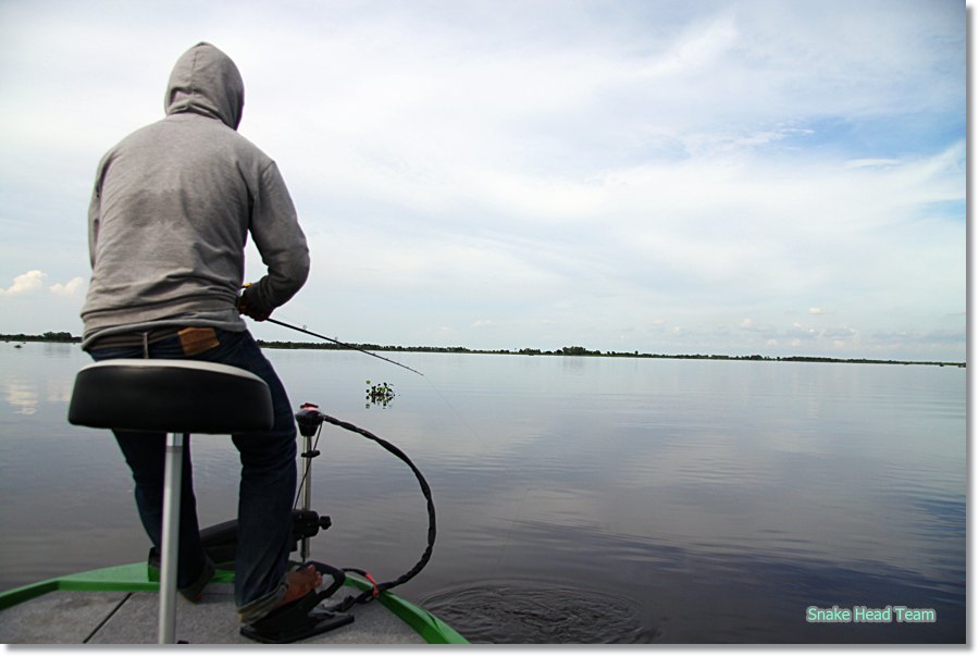                                                                                       [b]ออกเรือไปได