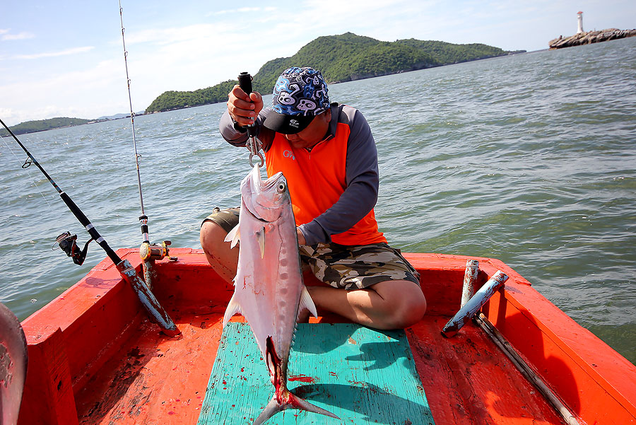 
 [b]  เลือดปลา เลอะเต็มท้ายเรือ

รวมทั