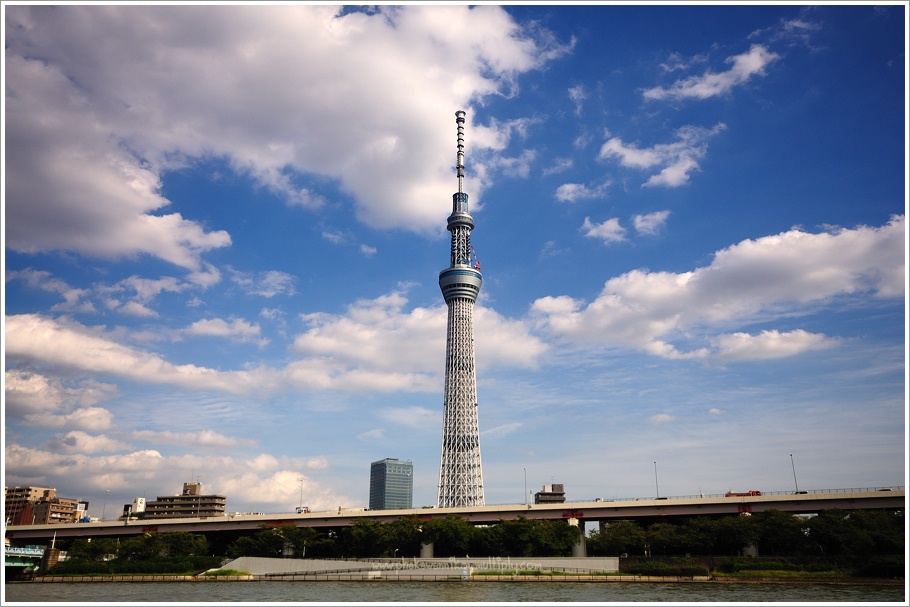 ใบที่ 8.
ใบนี้ถ่ายด้วย 10-20mm F4-5.6G 
ใช้ช่วงความยาวโฟกัส 20 mm
ขนาดรูรับแสง F8 
สปีตชัตเตอร์ 