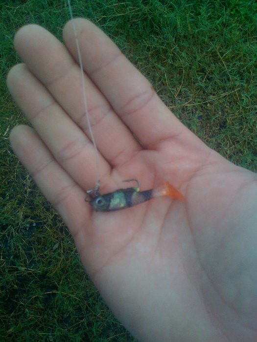 เหยื่อที่จะใช้ตกปลากรายวันนี้ผมเลือกปลายางตัวเล็กๆตัวนี้ก่อนครับ ดูแล้วมันน่าจะกัดดี  :cool: