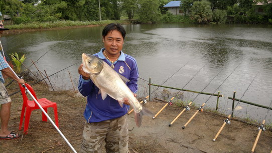 วันฝนตก..ที่บ่อโพธิ์ไทรงาม