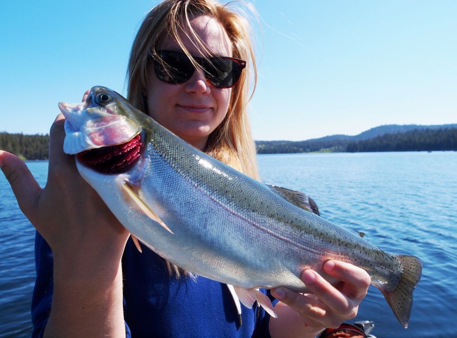 ให้ Alyse สวยหน่อย ปลา trout ไซค์กำลังน่าทาน