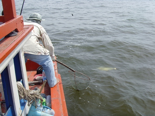 ขุนพันเข้าท้ายเรือ