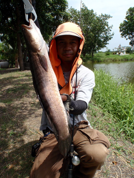 น้าหนูกันแห้วหลังจากพักการตกปลาไปพักหนึ่งกับมาพร้อมความมั่นใจ..........ไม่พลาดเหมือนเดิม  :cheer: :c