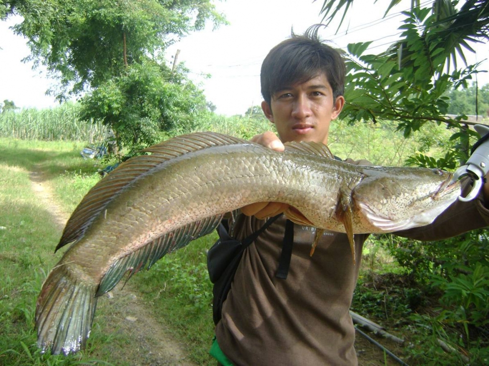 


                [b]ขอลากันด้วยภาพนี้ นะ ครับ ผิดพลาดประการใดต้องขิโทษมา ณ ที่นี้ นะครับสวัสดีค